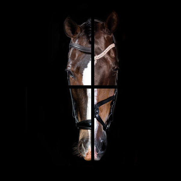 Design Your Own Unique Bridle with Flexible Fit Equestrian USA