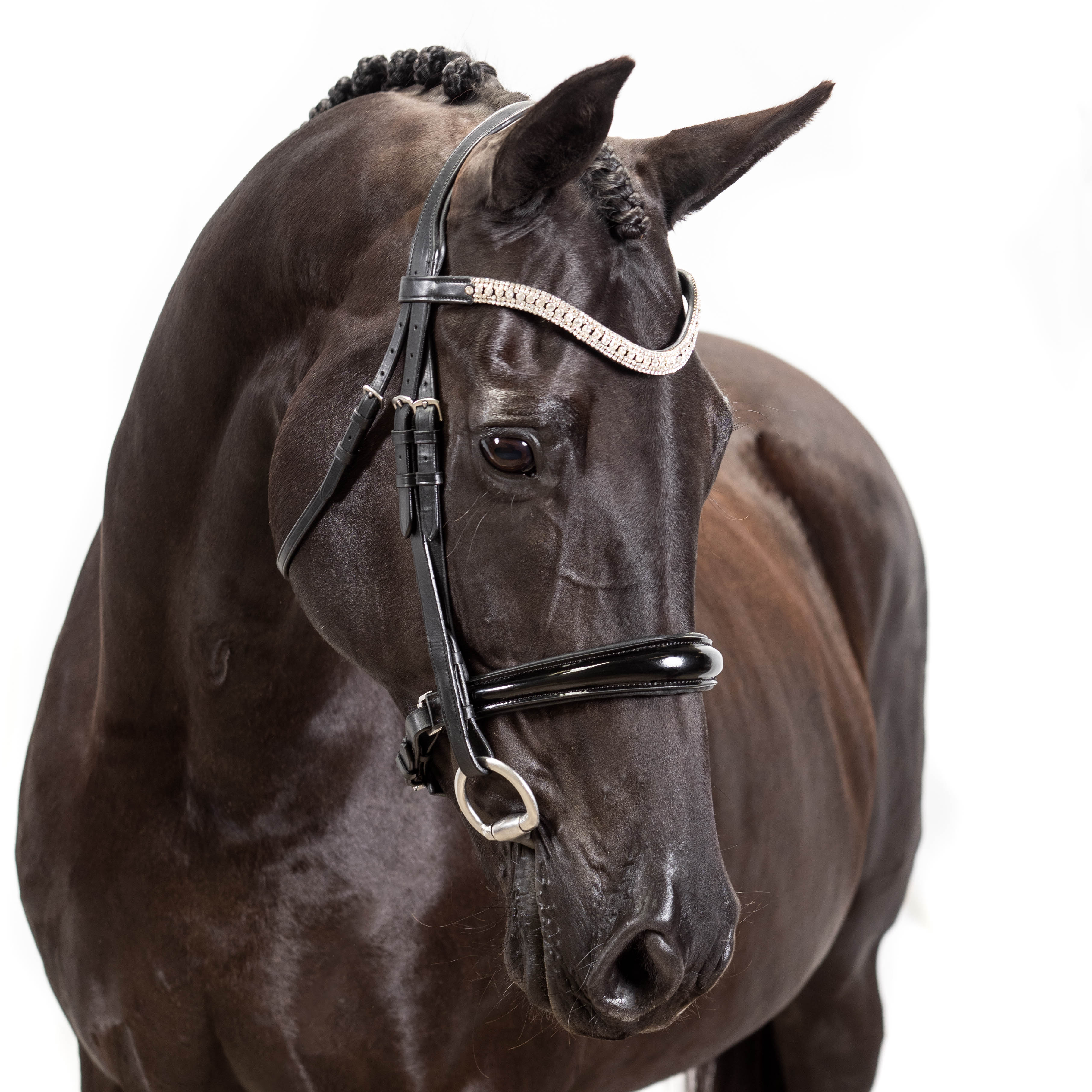 Black snaffle bridle with Swarovski Princess Wave browband and patent converter crank noseband