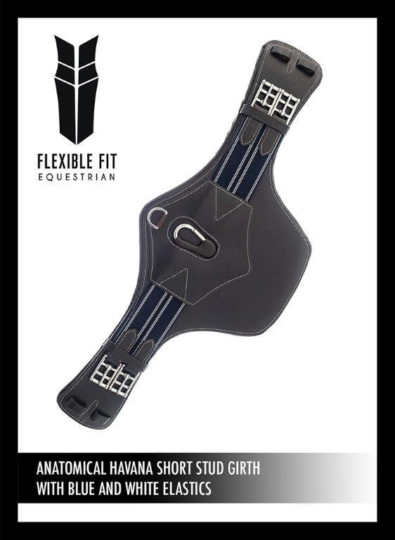 SHORT STUD GIRTH HAVANA - BLUE AND WHITE - Flexible Fit Equestrian LLC