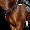 5 POINT BREASTPLATE - BLACK WITH BLACK AND SILVER ELASTIC