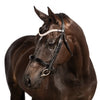 Sparkling clear crystal browband on black English bridle