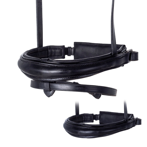 Black Nosebands