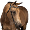 Havana nosebandless bridle with silver piped clincher wave browband