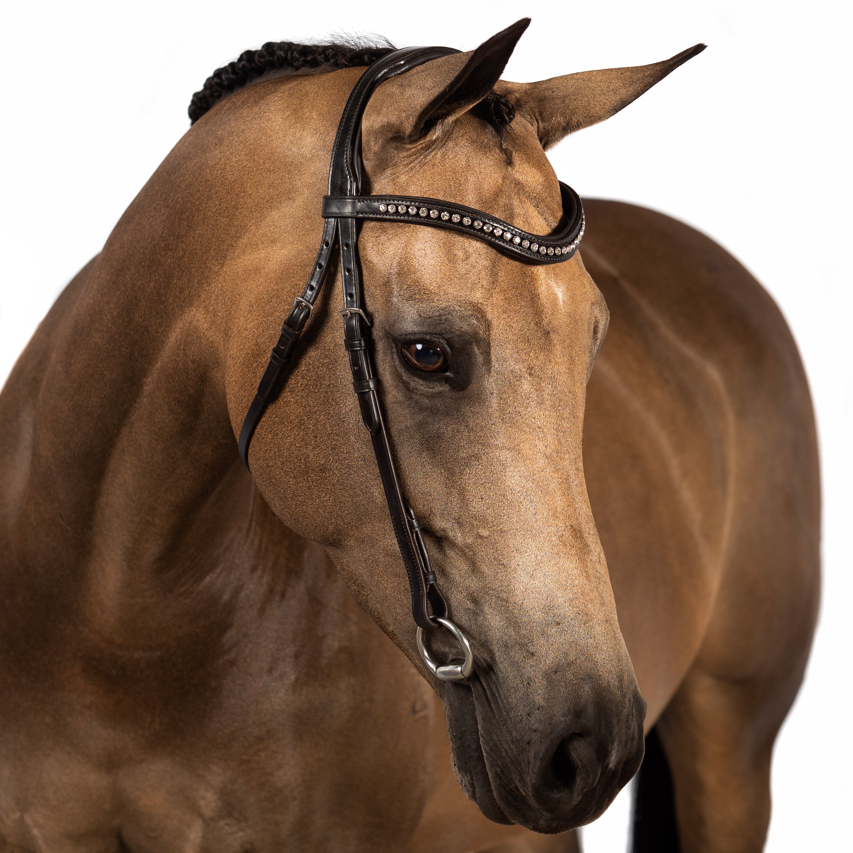 Havana nosebandless bridle with clear crystal wave browband