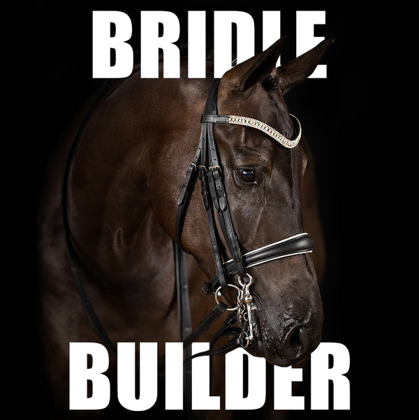 Custom Black Double Bridle