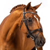 Havana bridle with clear crystal wave browband and converter eventer noseband
