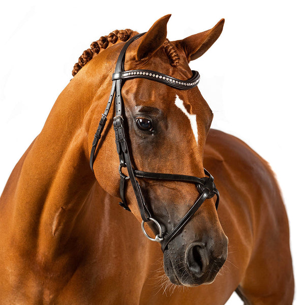 Havana English bridle with clear crystal wave browband and figure 8 noseband