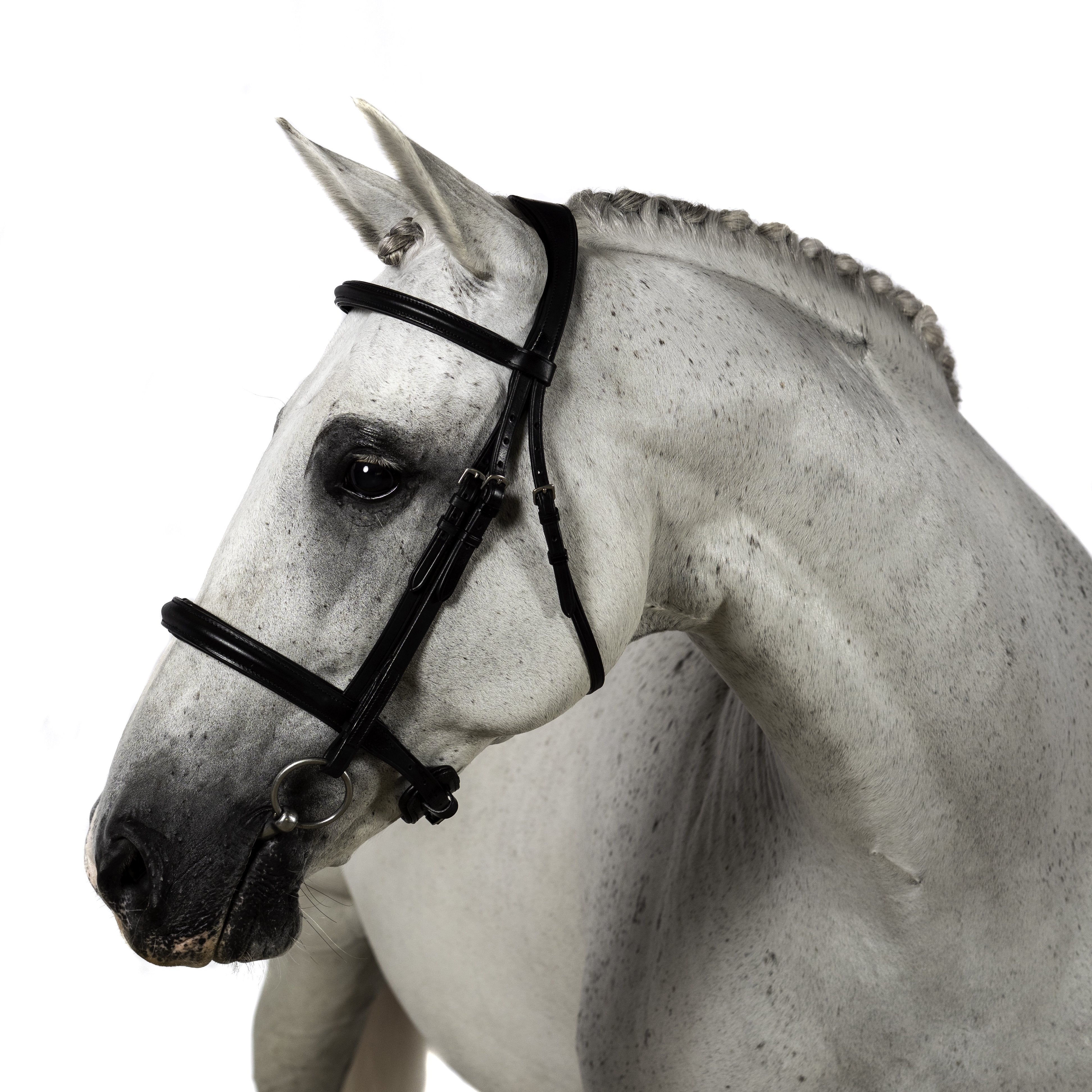 English leather black bridle with monocrown and billet or buckle cheekpieces