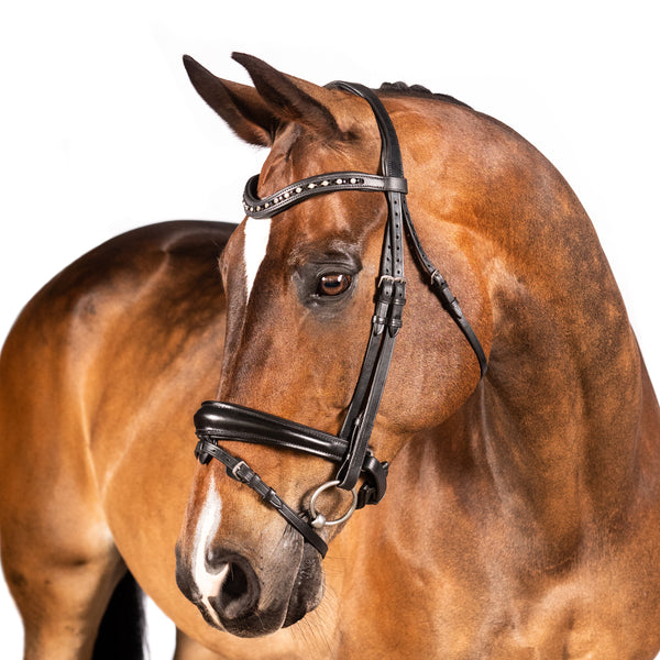 Black Snaffle Bridle – Adelaide