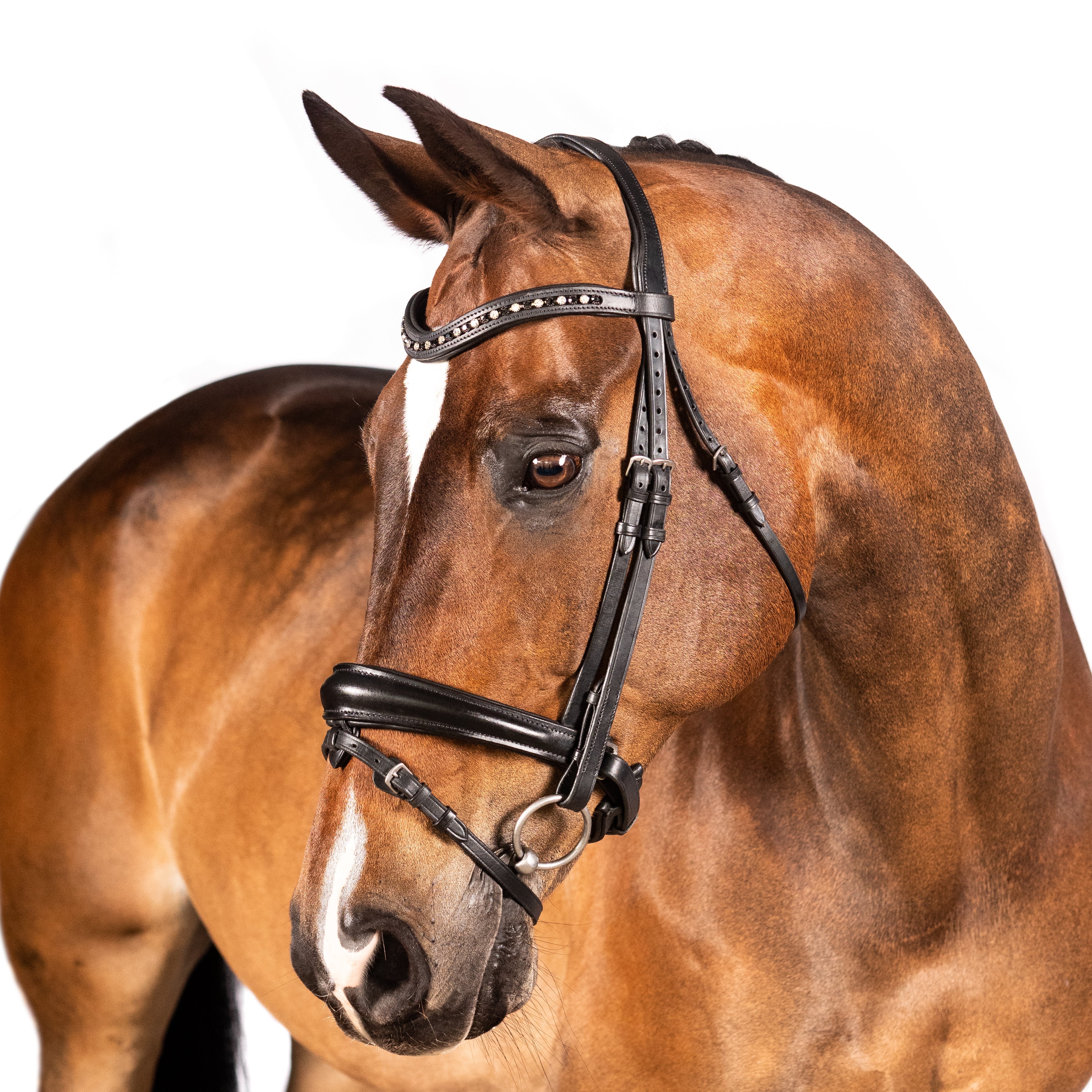 English leather snaffle bridle with anatomical converter crank noseband