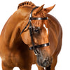 Havana English bridle with flat browband and cavesson noseband