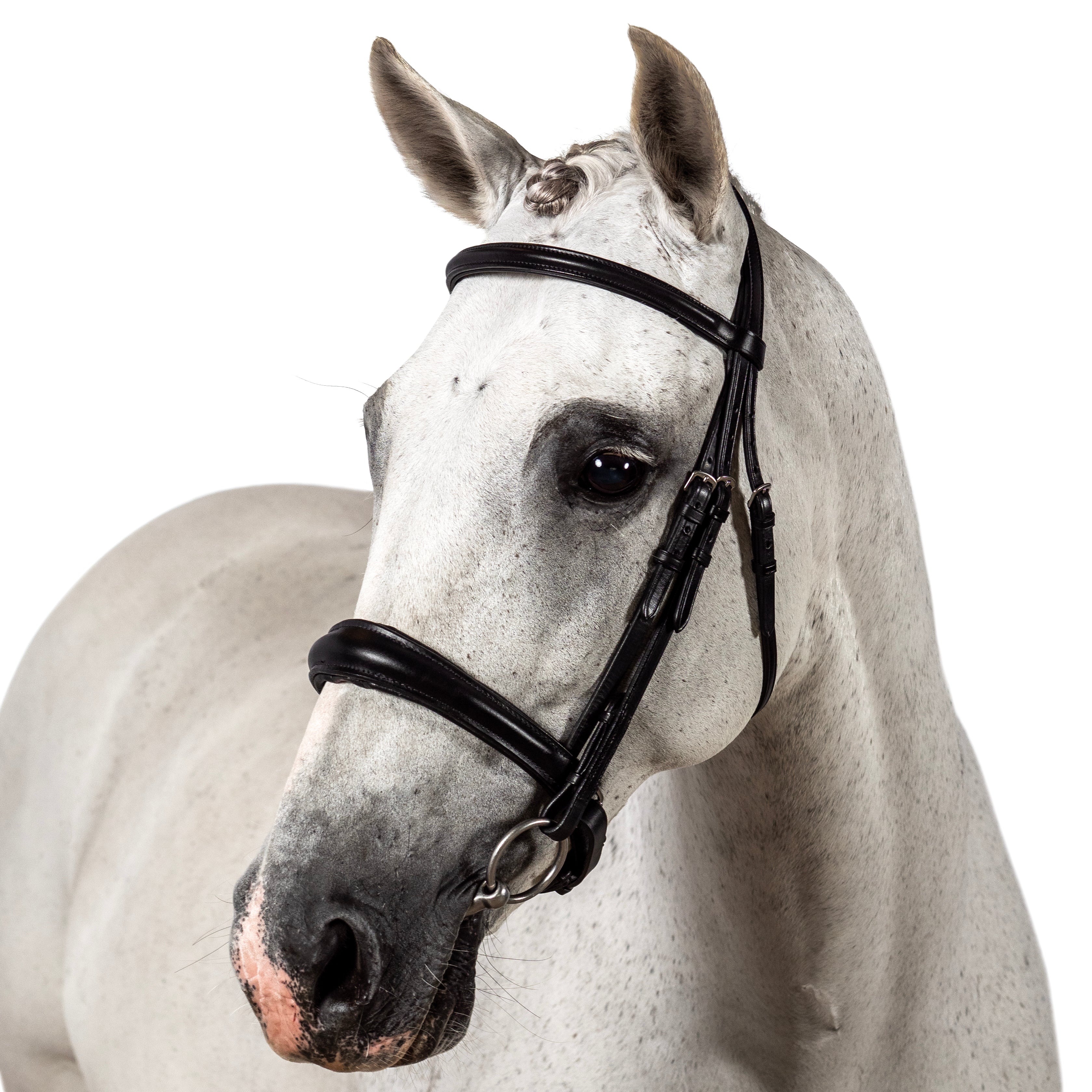Black snaffle bridle with anatomical converter crank noseband