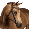 Havana English leather nosebandless bridle with clincher browband