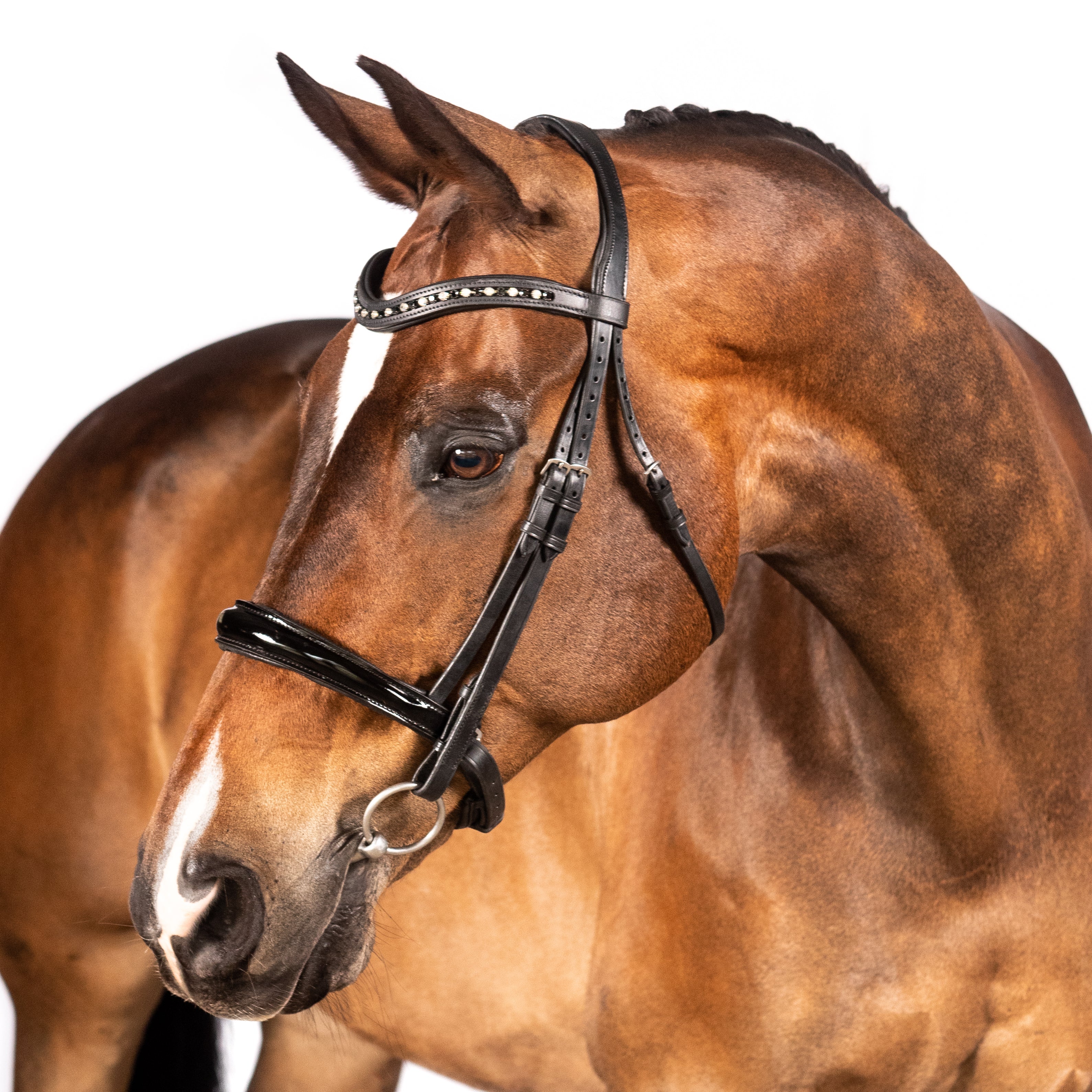 Black snaffle bridle with patent anatomical noseband and crystal wave browband