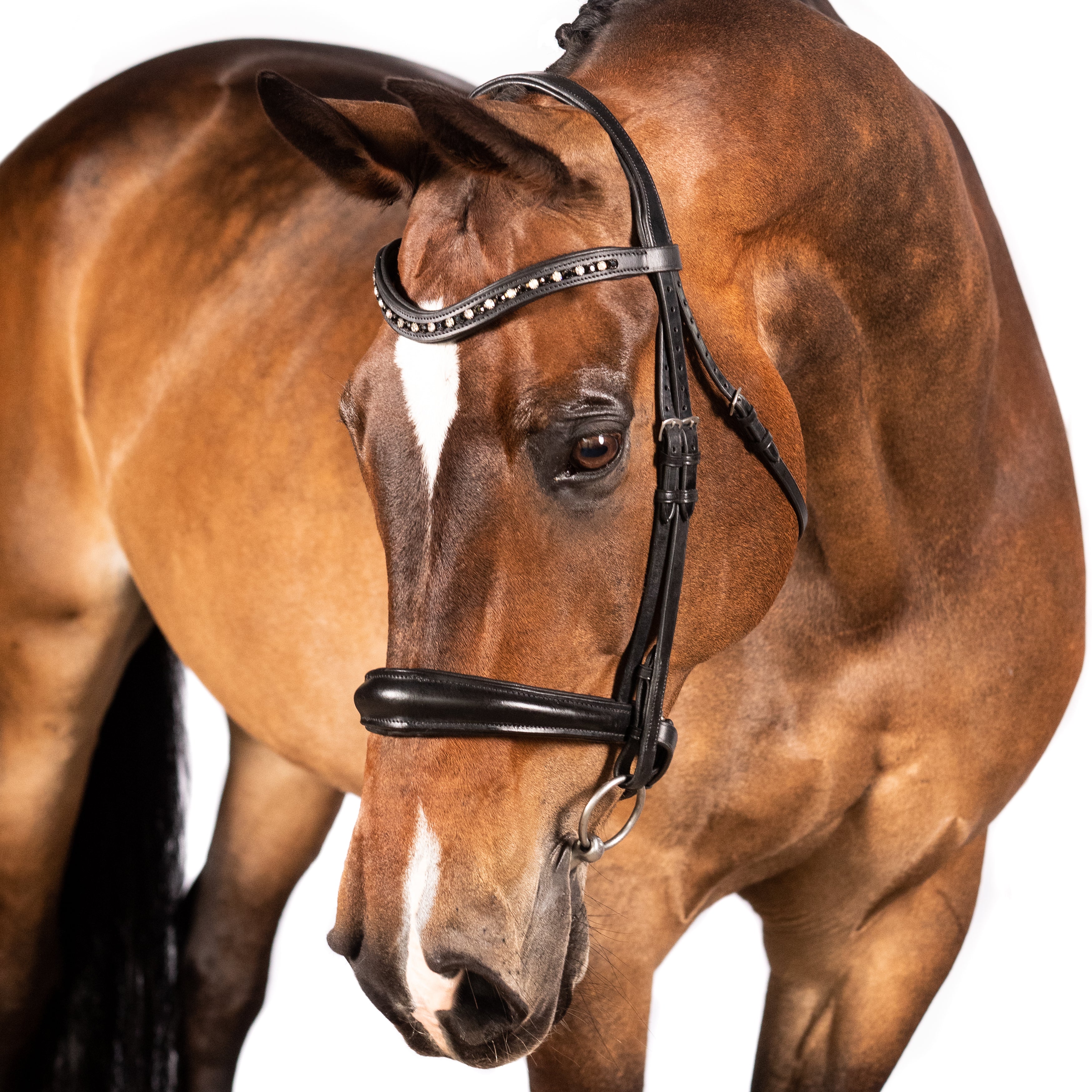 Black snaffle bridle with black & clear crystal wave browband