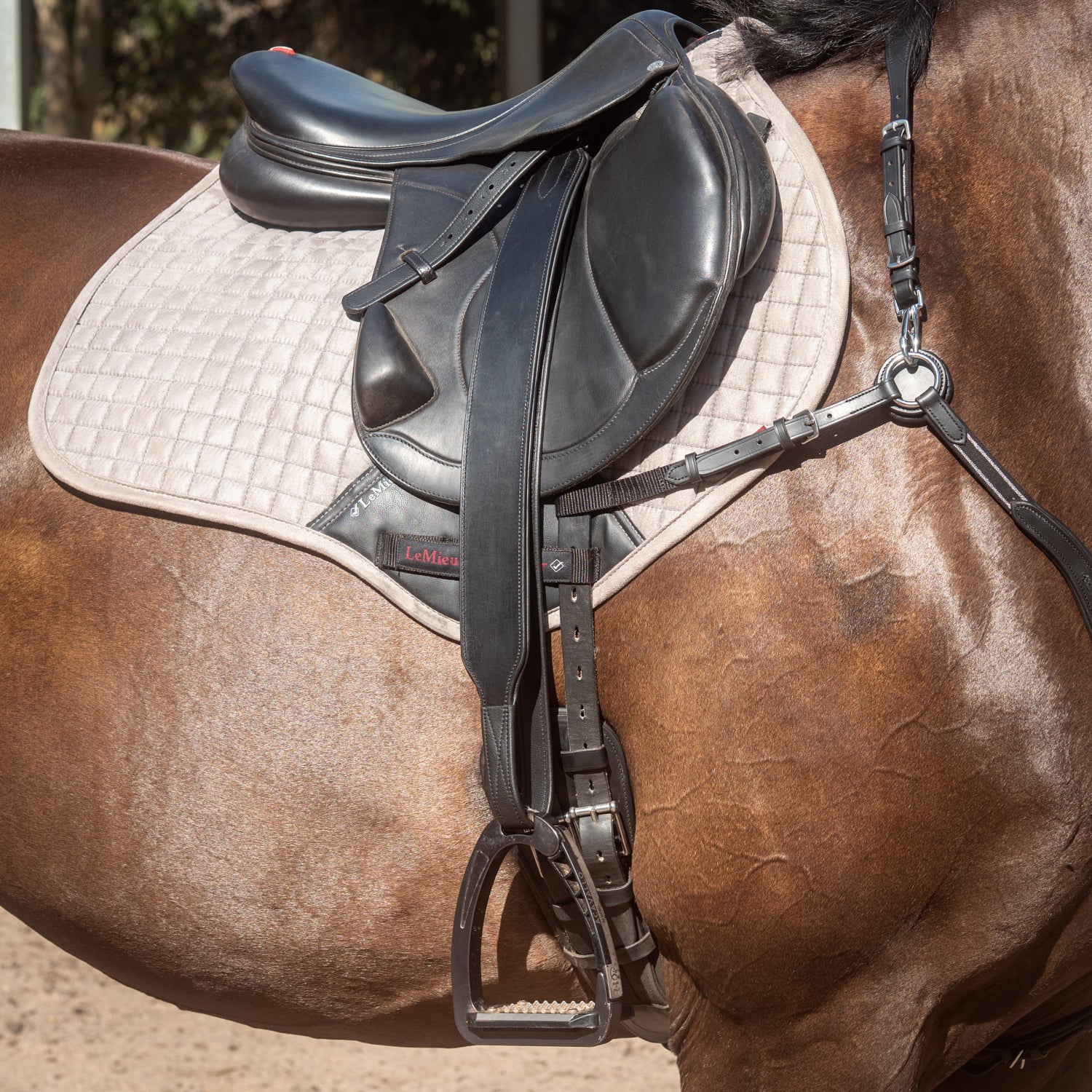 Secure - Leg Stirrup Leathers