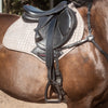 Secure - Leg Stirrup Leathers
