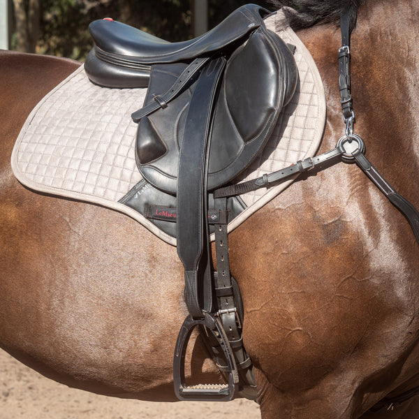 Secure - Leg Stirrup Leathers