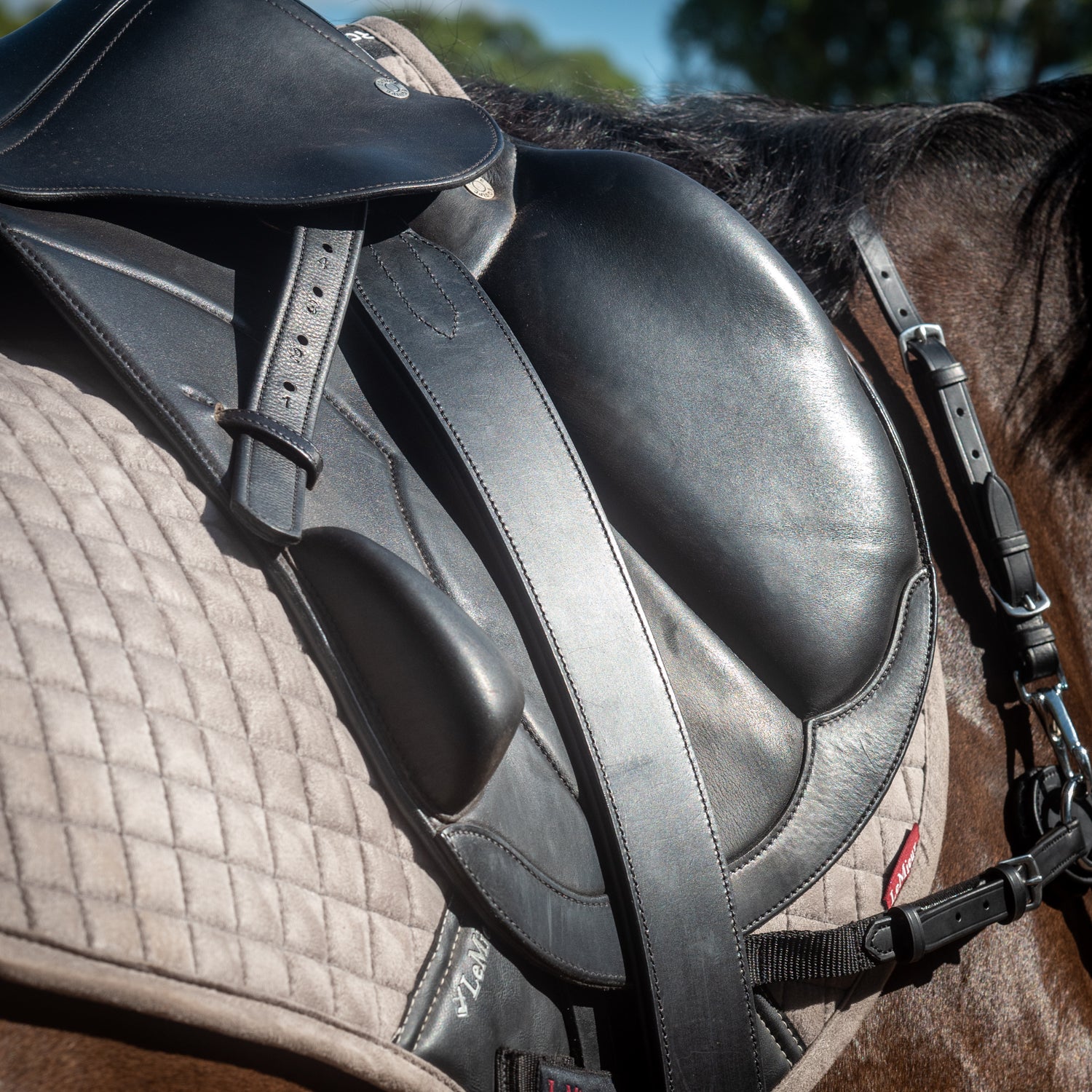 Secure - Leg Stirrup Leathers