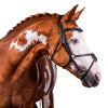Gel padded havana bridle with grackle noseband and raised browband