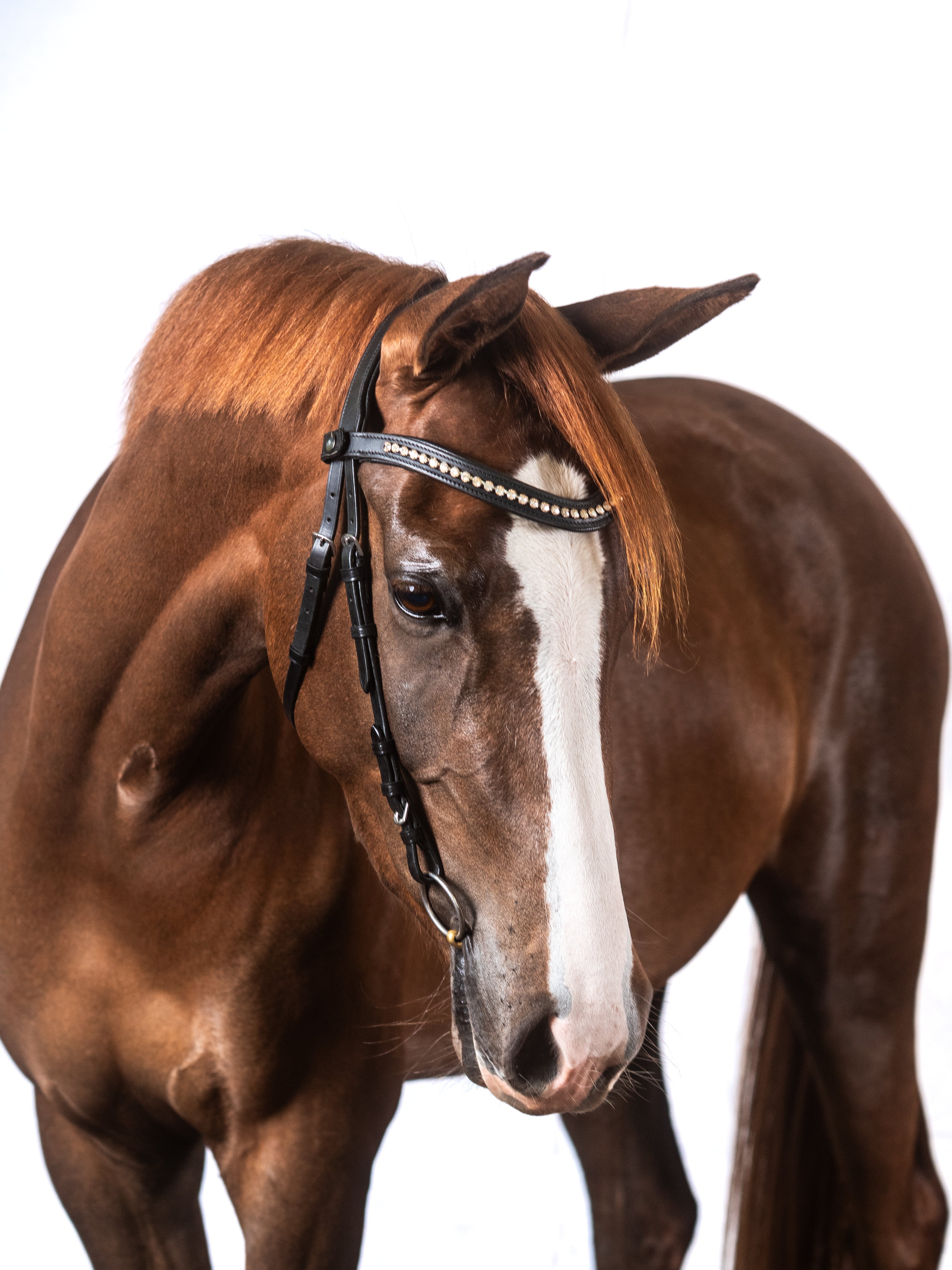 Black Nosebandless Snaffle Bridle 'Emily'