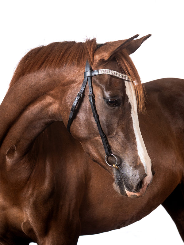 Black Nosebandless Snaffle Bridle 'Jane'