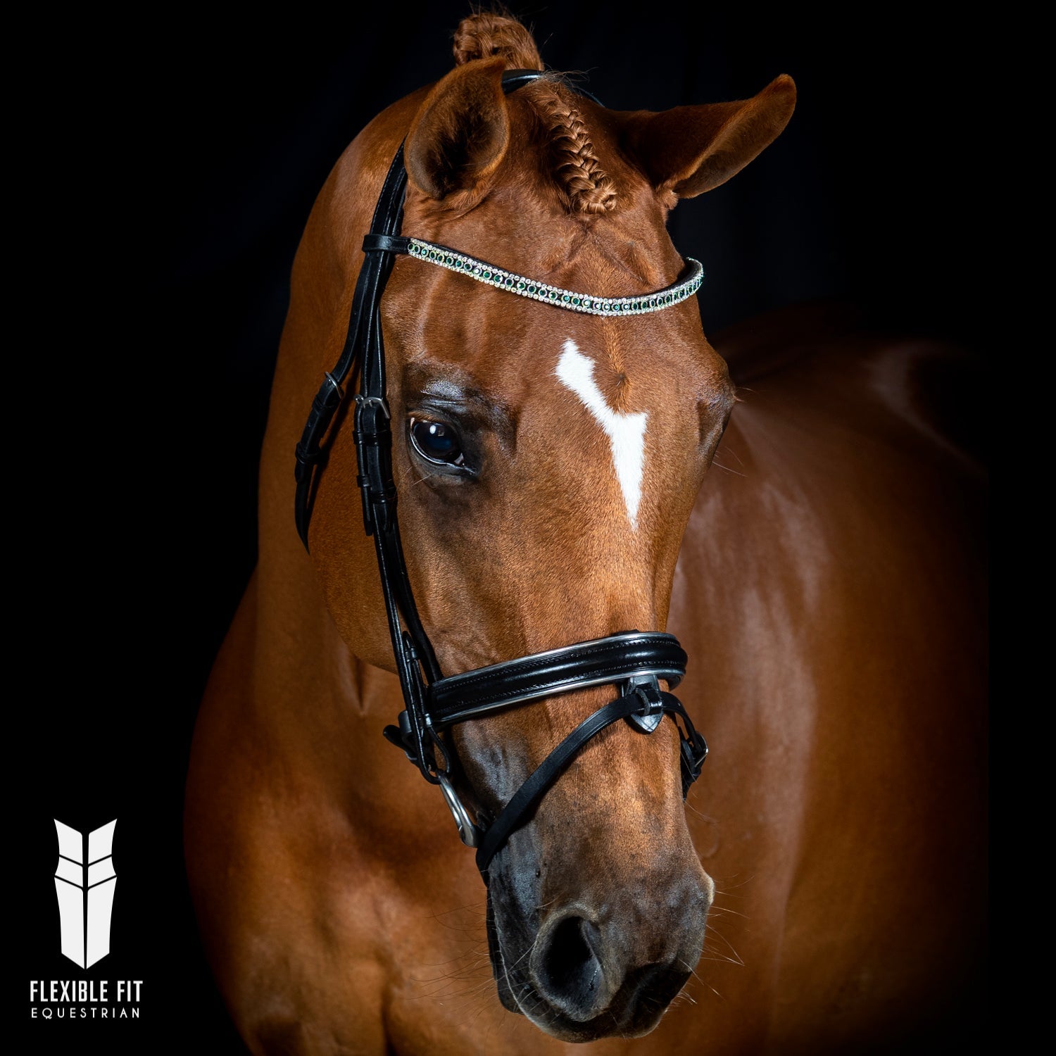 Thin curved leather browband with Austrian crystals