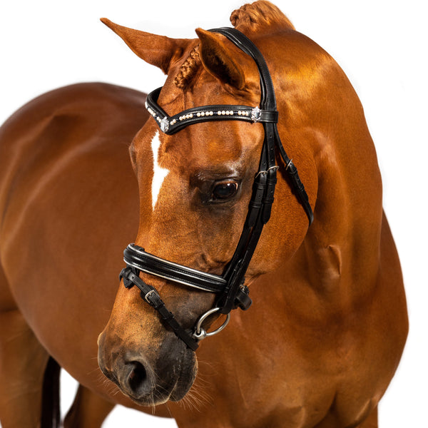 Cream and Navy Blue Pearl with Shields V Gel Browband - Black