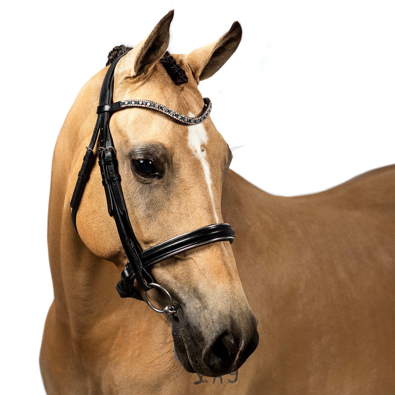 Turquoise and Clear Crystal Thin Wave Browband - Black