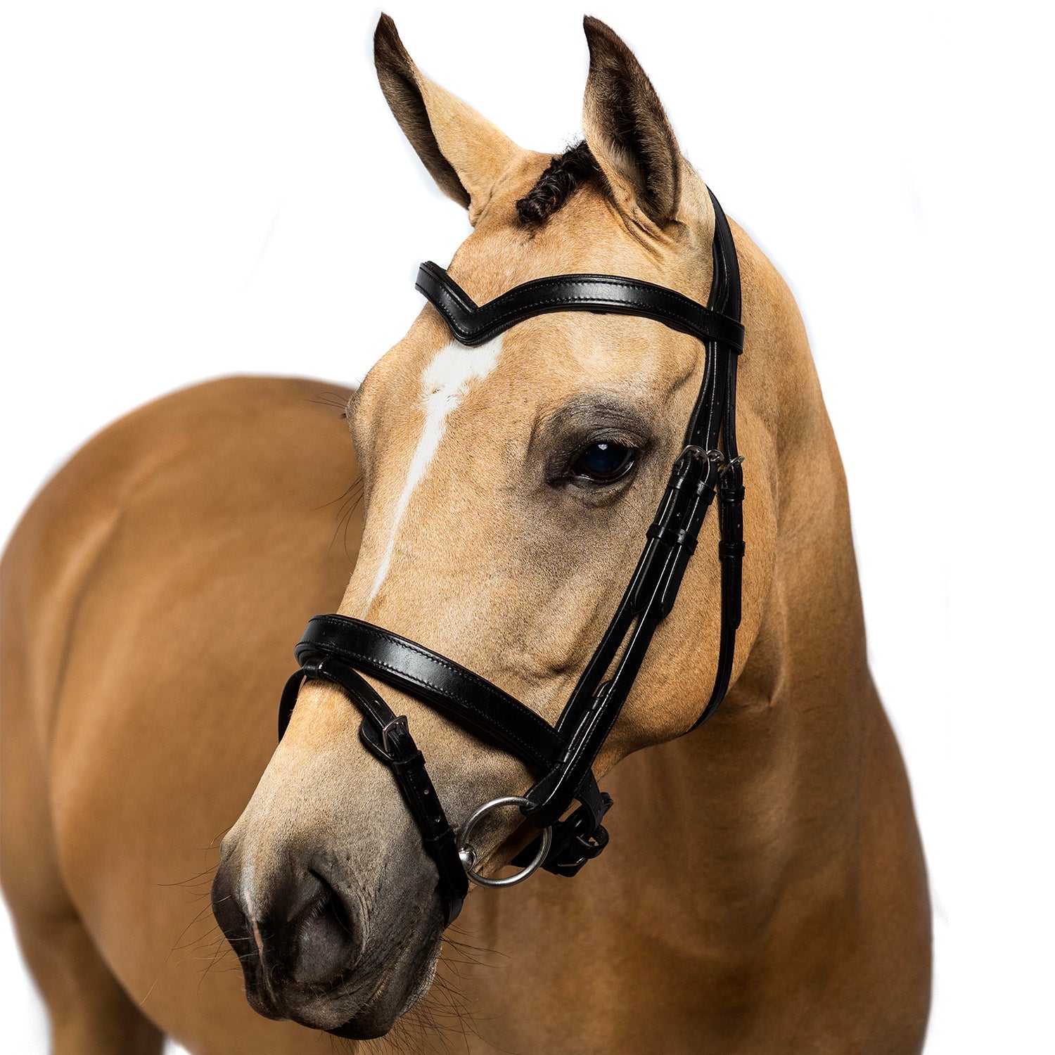 Flat Plain V Gel Browband - Black