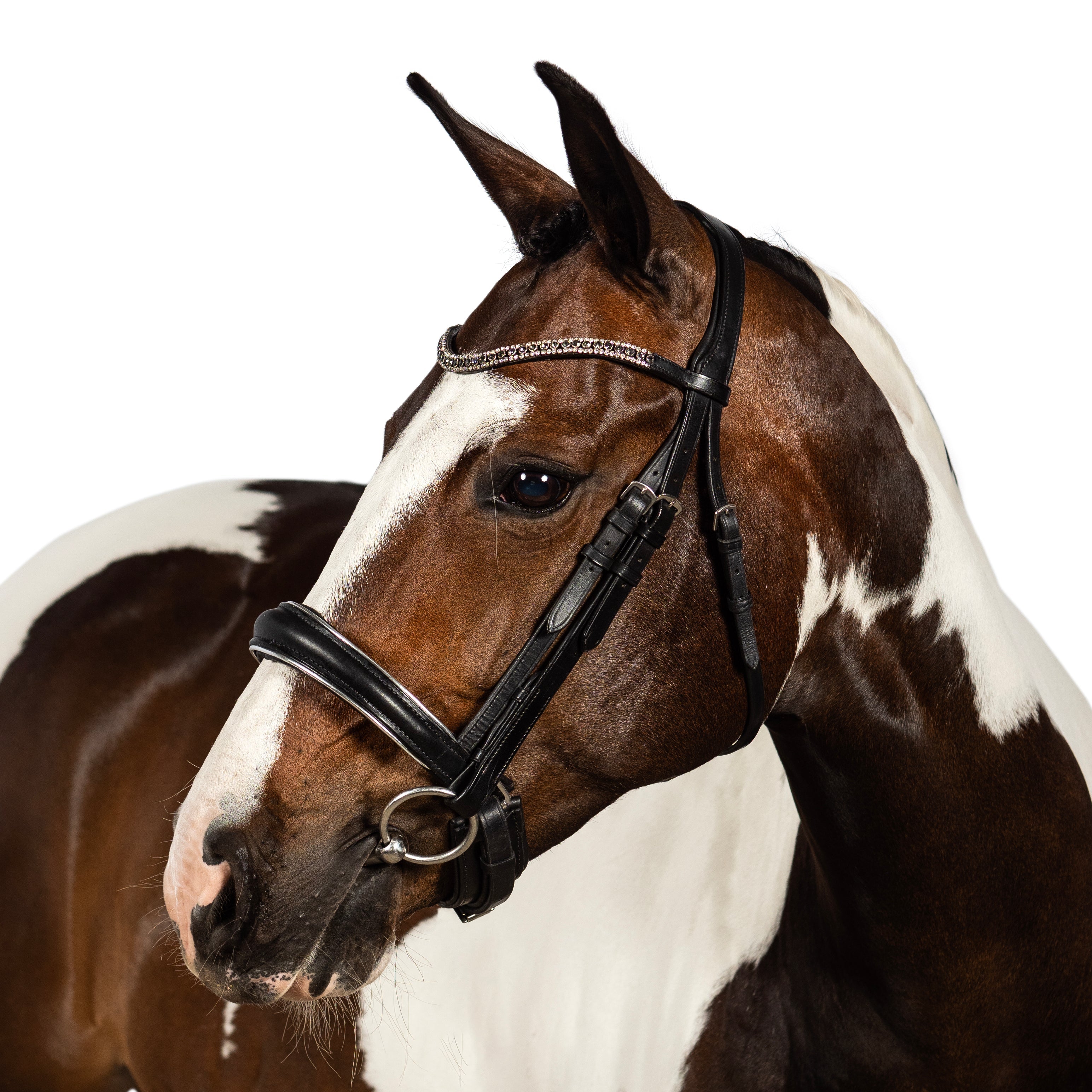 Main Grey and Clear Crystal Thin Wave Browband - Black