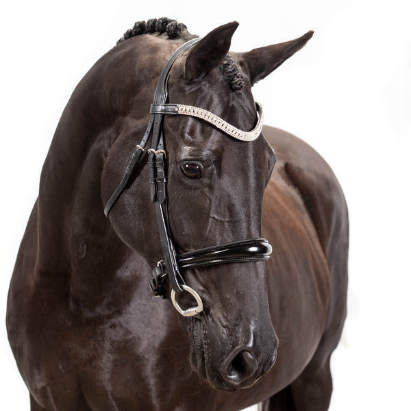 Black snaffle bridle with Swarovski Princess Wave browband and patent converter crank noseband