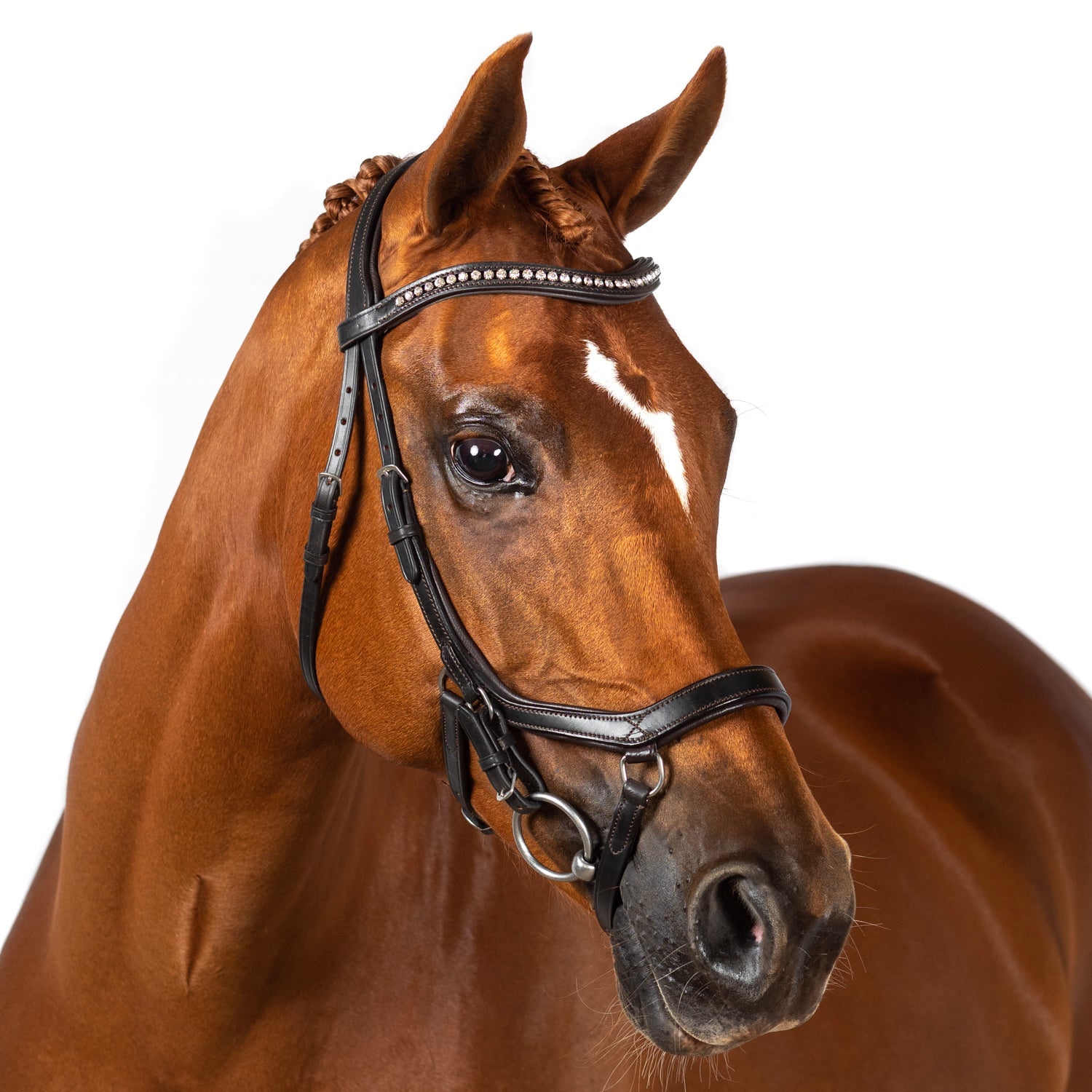 Ergonomic Duo Noseband - Havana Noseband