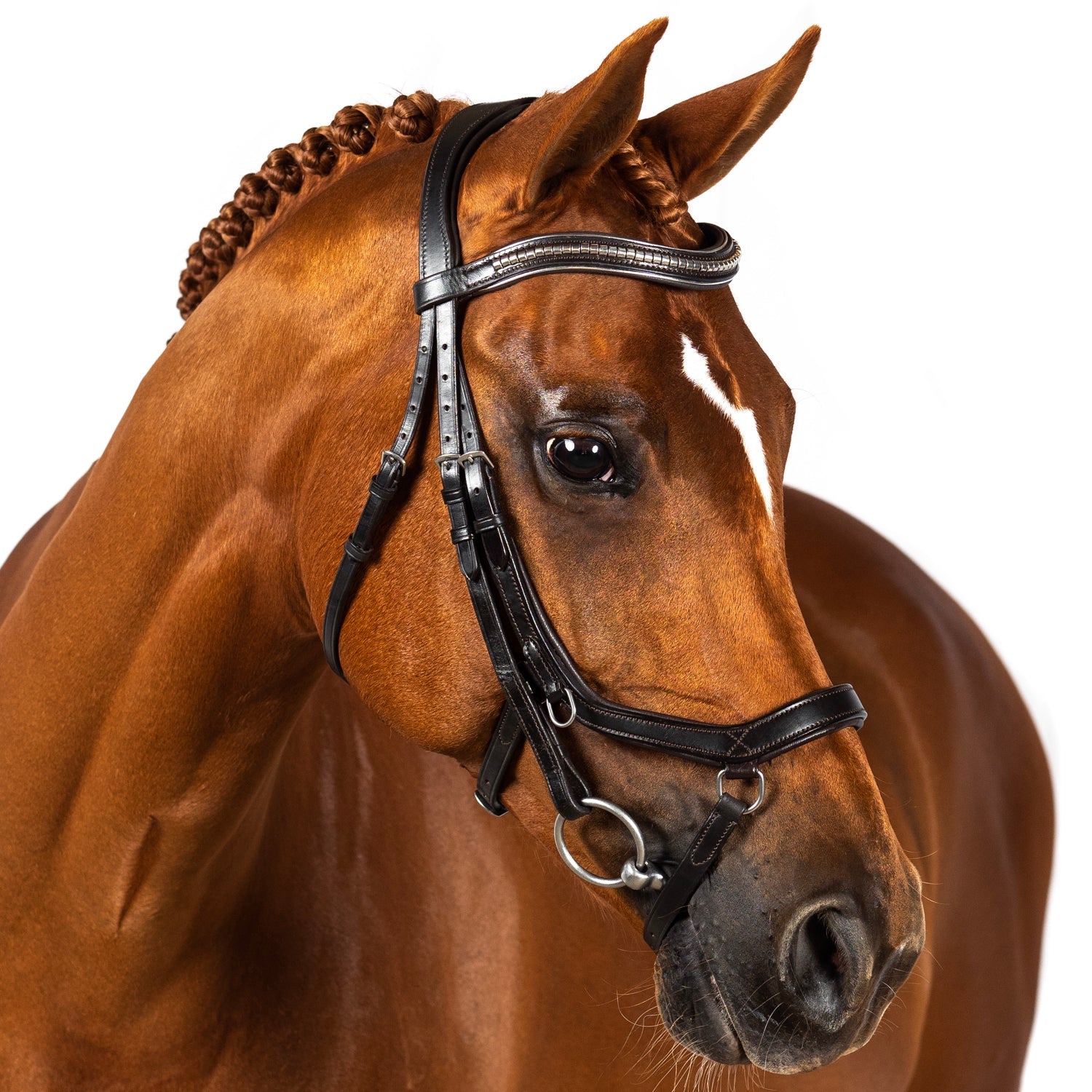 Ergonomic Duo Noseband - Havana Noseband