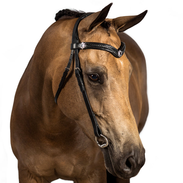 Plaited with Shields V Gel Browband - Black