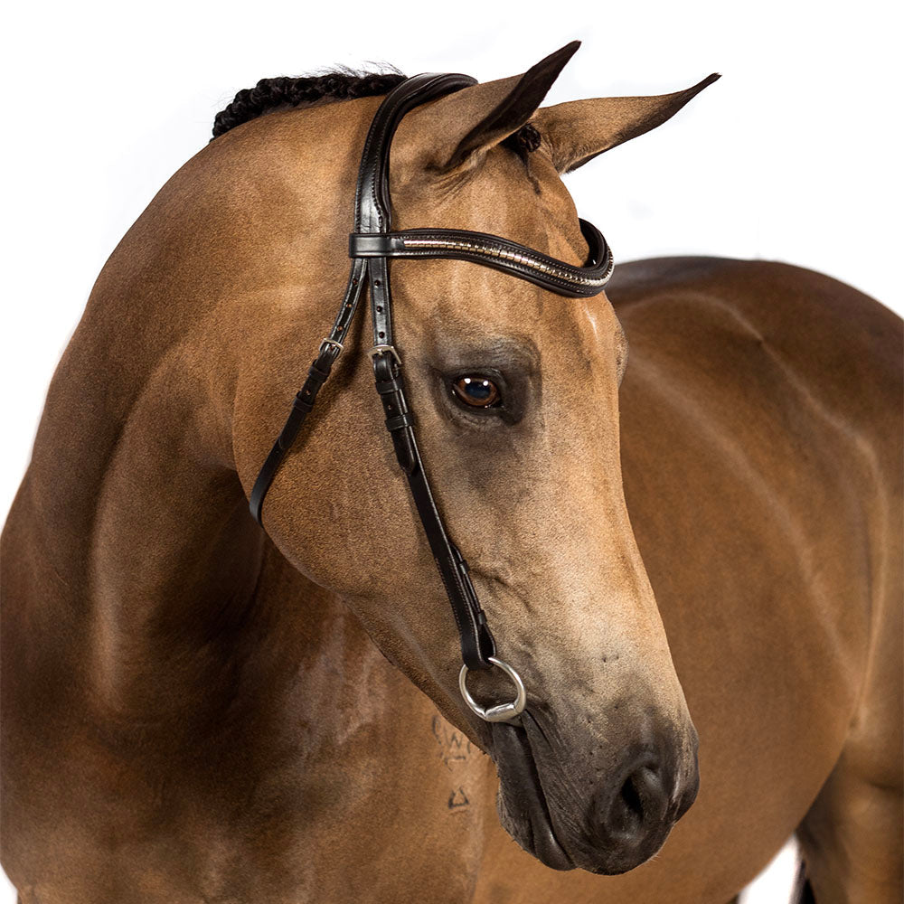 S/s Clincher Wave Gel Browband - Havana