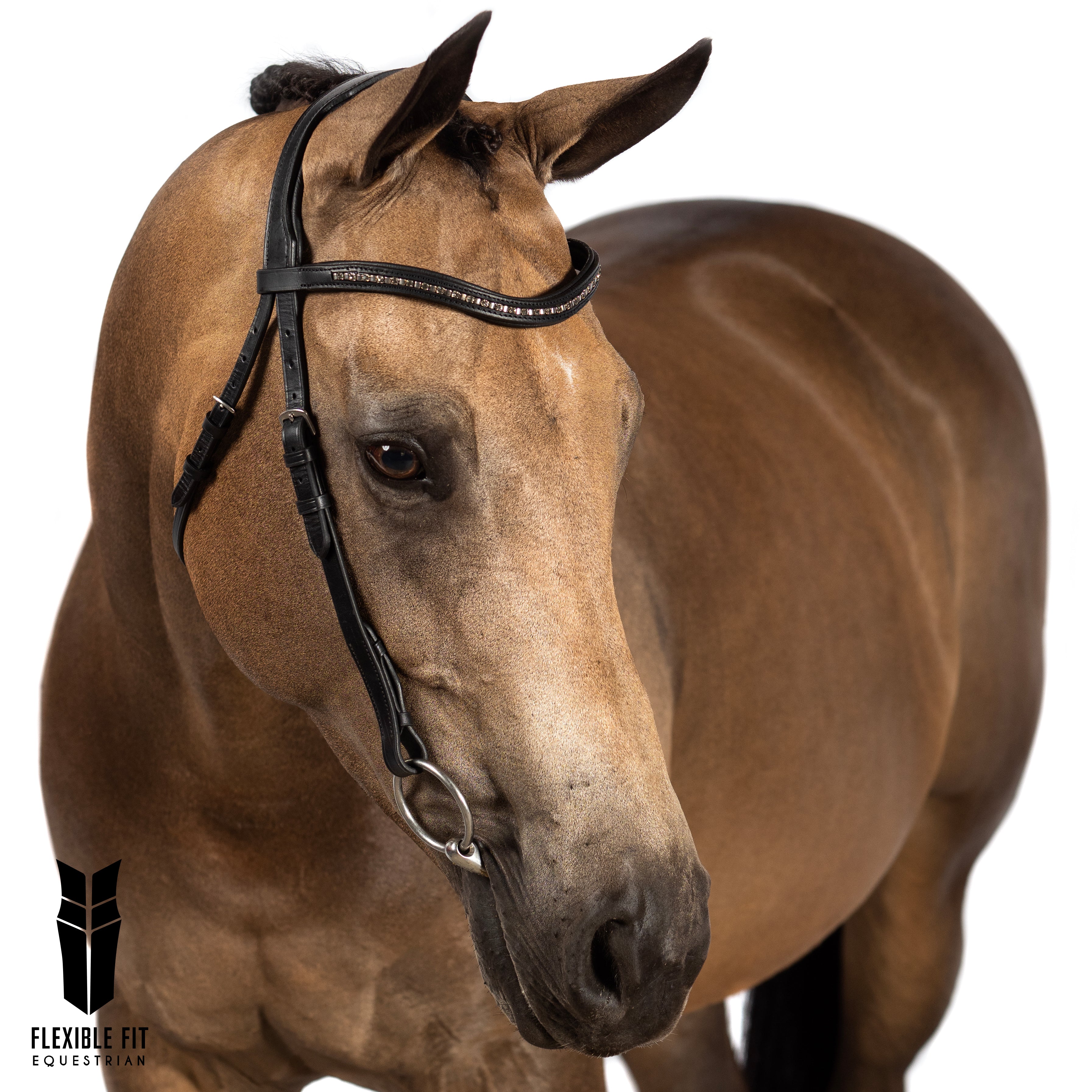 Grey Crystal and Mini Clincher Wave Gel Browband - Havana