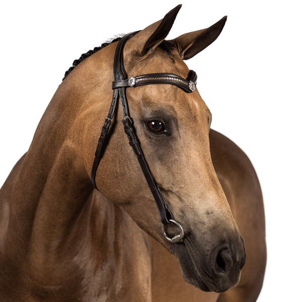 S/s Clincher with Shields V Gel Browband - Havana