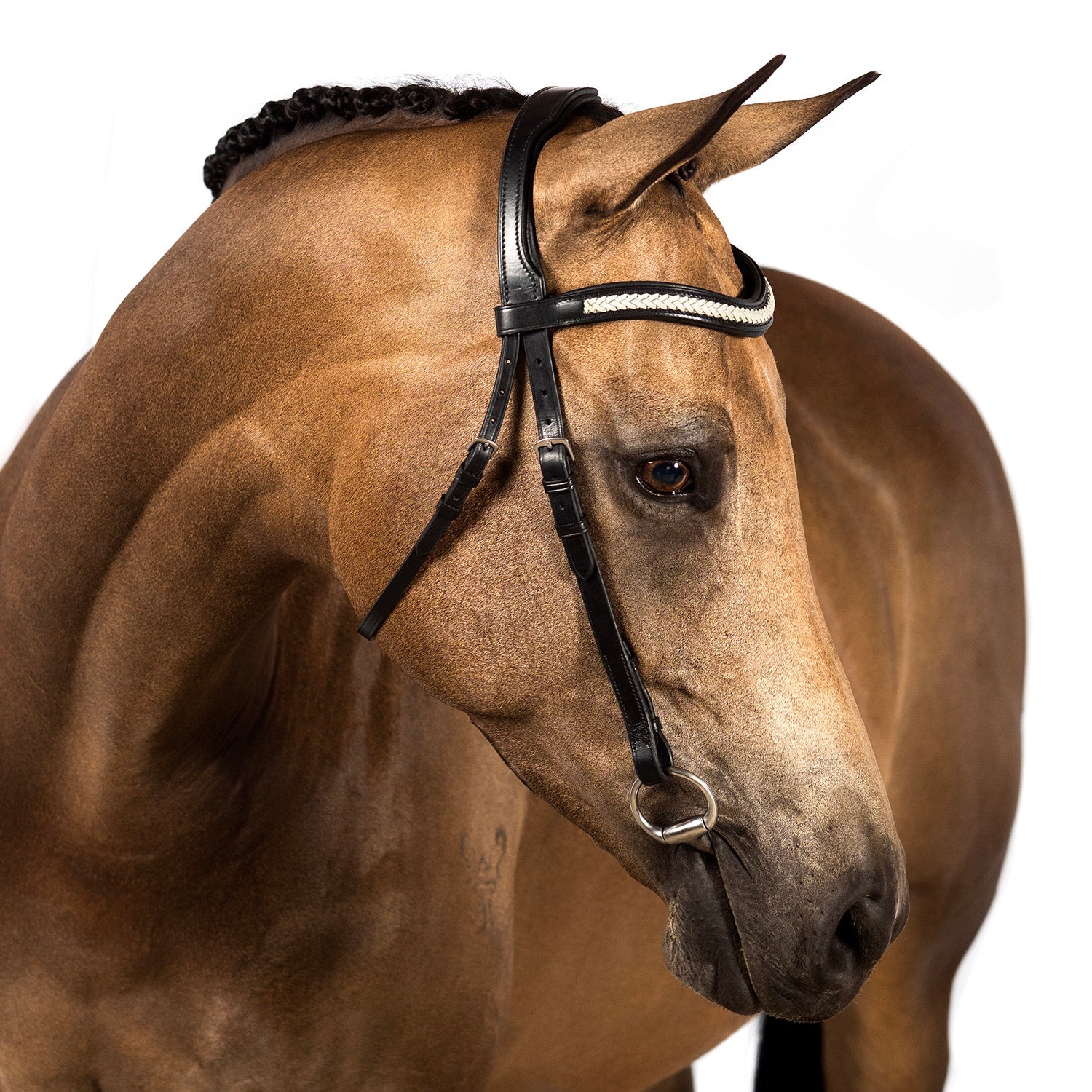 White Braided Wave Gel Browband - Black