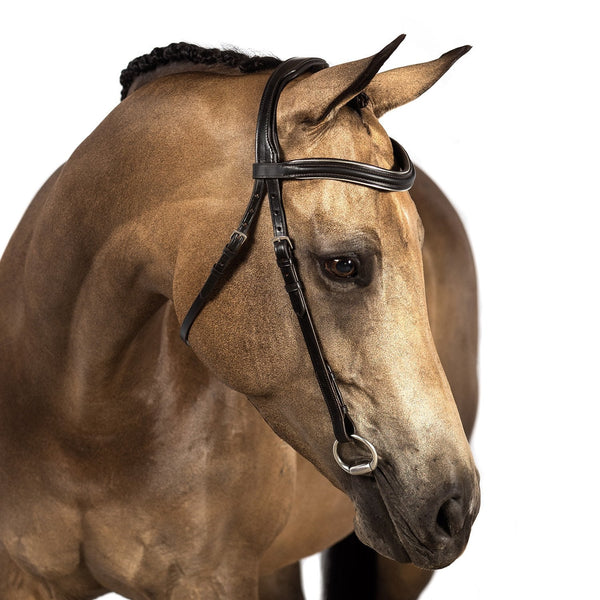 Havana leather nosebandless bridle with silver piped raised browband