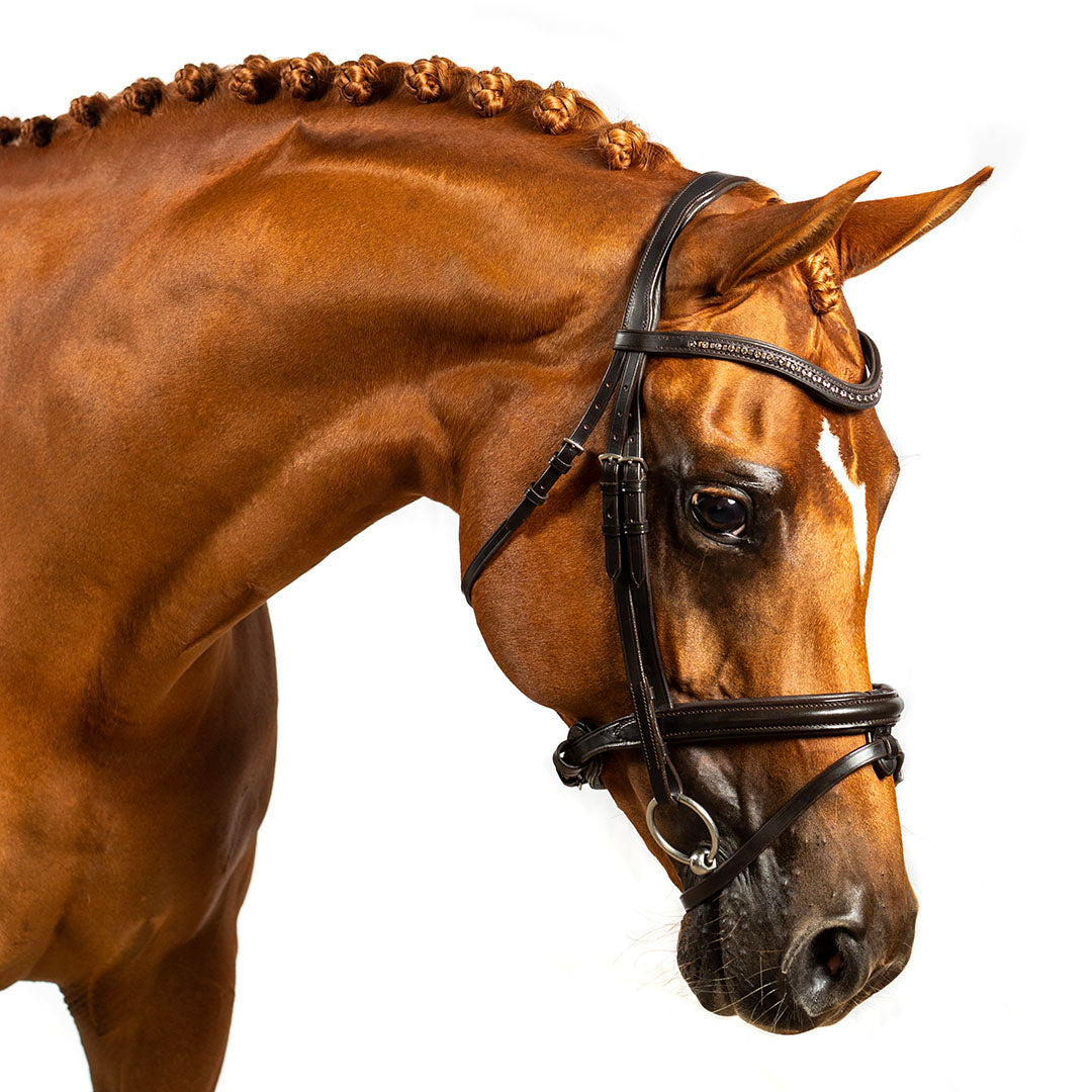 Grey Crystal and Mini Clincher Wave Gel Browband - Havana