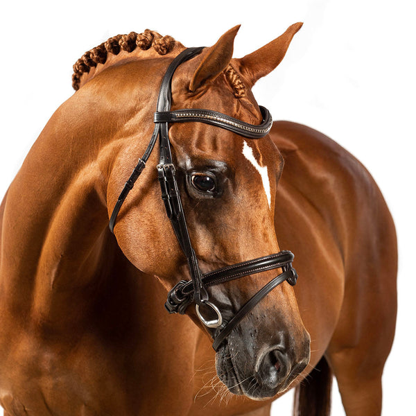 Havana snaffle bridle with clincher wave browband and cavesson converter noseband