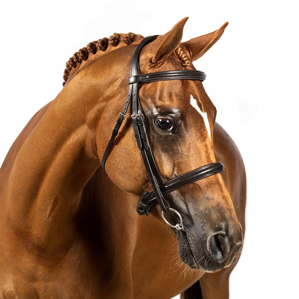 HAVANA SNAFFLE BRIDLE 'Jumper Classic' - Flexible Fit Equestrian LLC