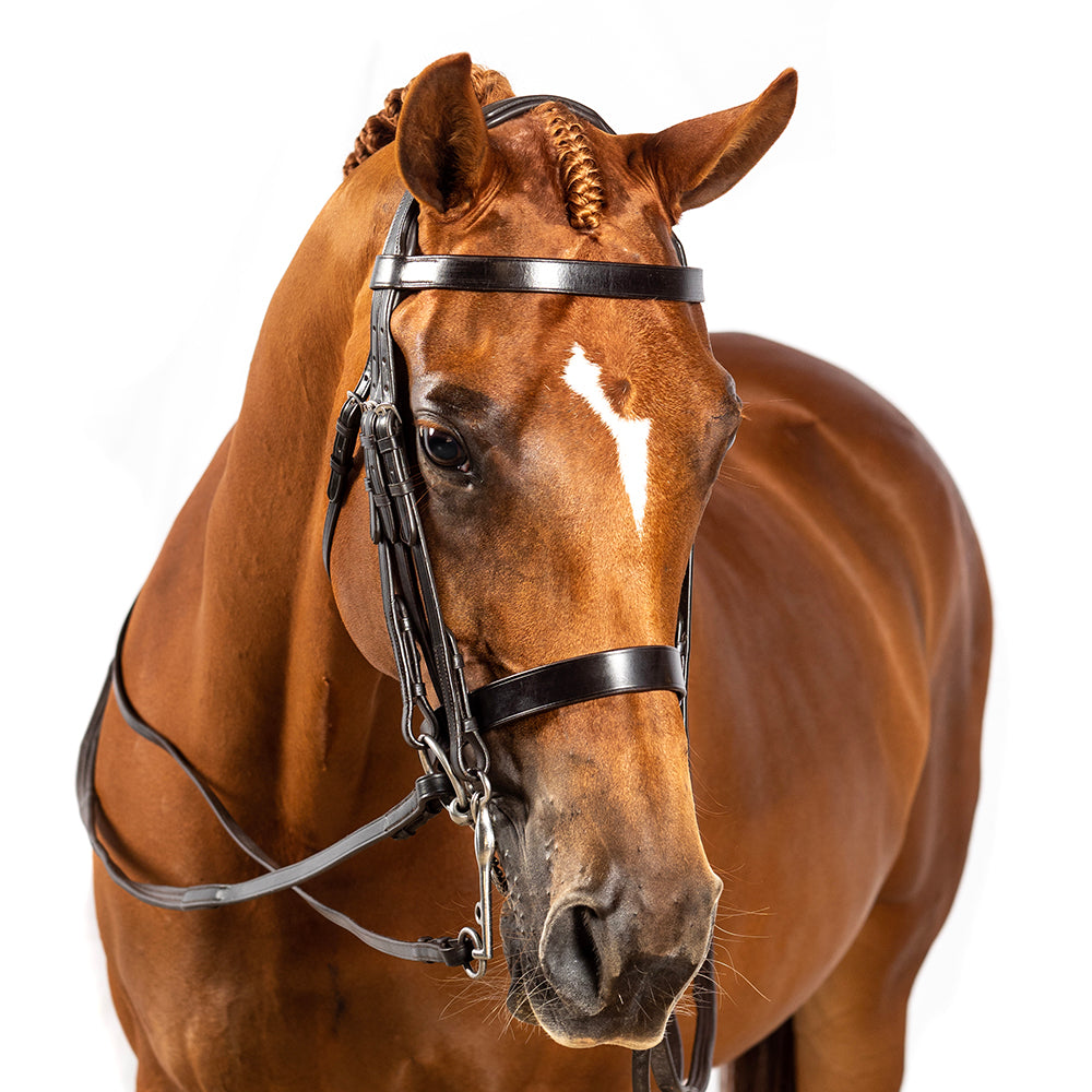 Flat Plain Straight Fox Hunter Browband - Havana