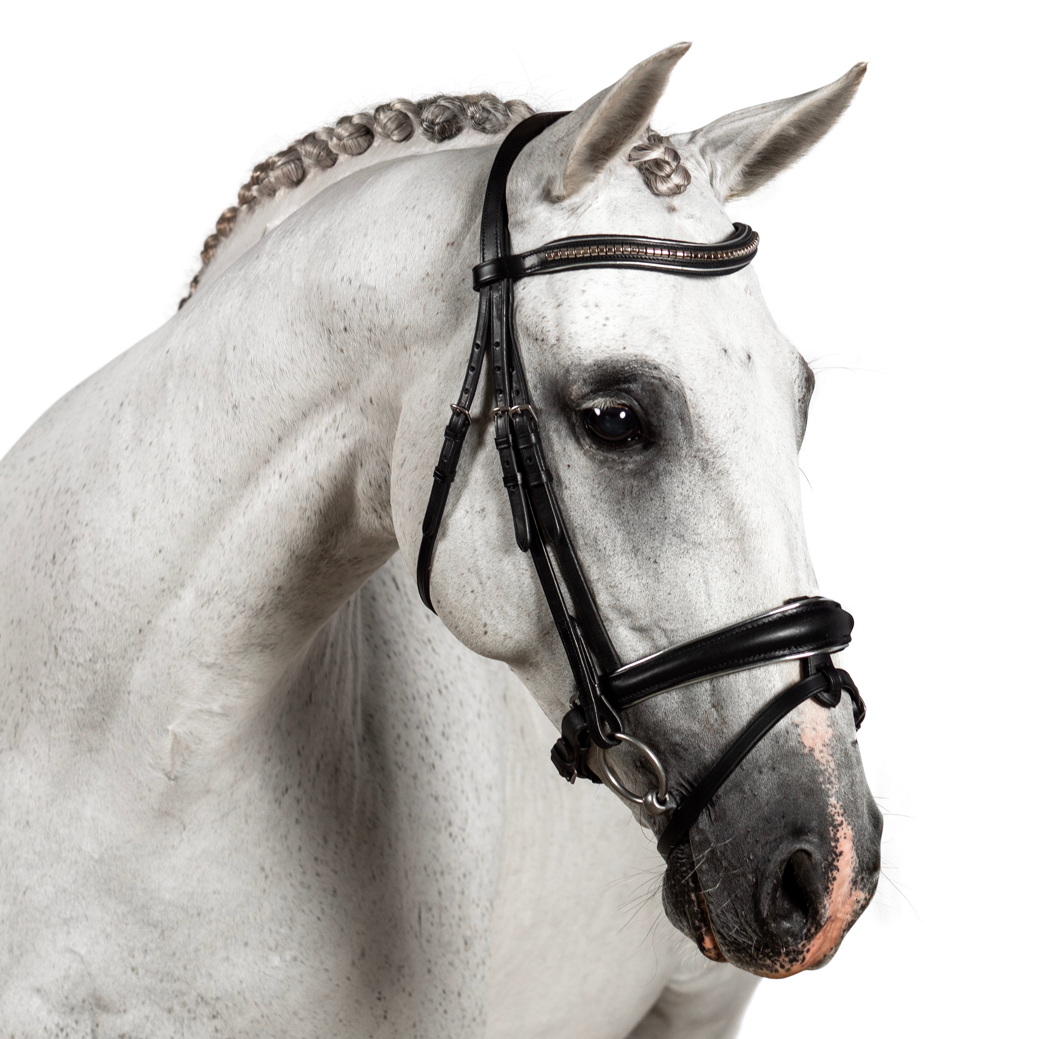 S/s Clincher with Silver Piping Wave Gel Browband - Black