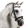 S/s Clincher with Silver Piping Wave Gel Browband - Black