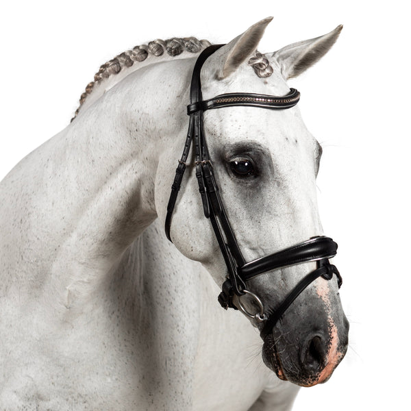 S/s Clincher with Silver Piping Wave Gel Browband - Black