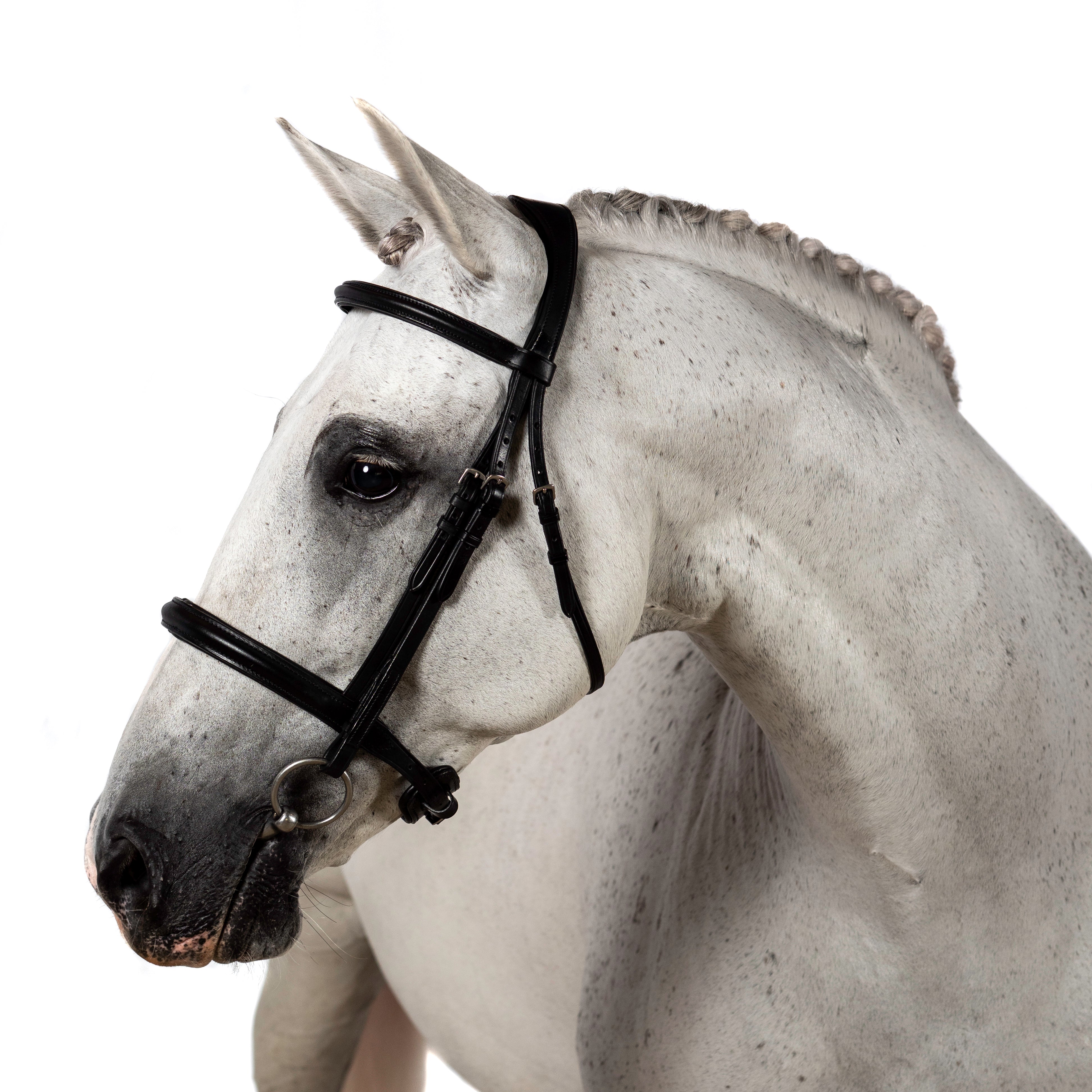 Raised Plain Straight Gel Browband - Black