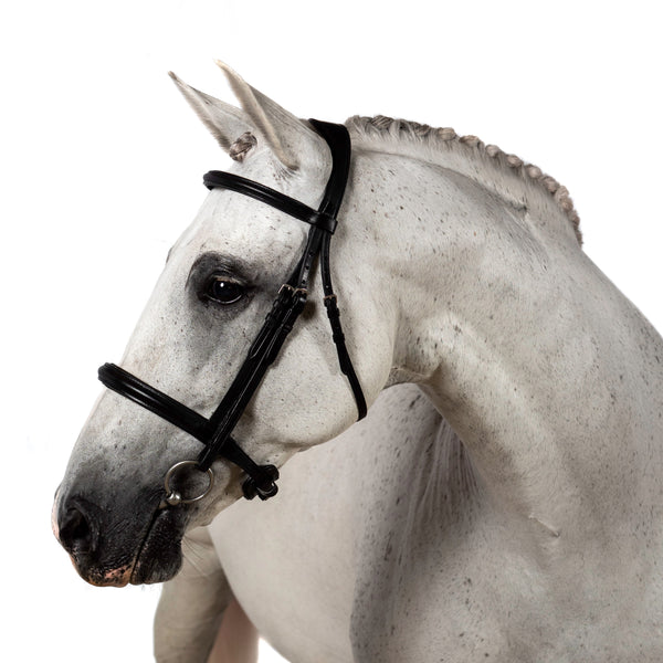 Raised Plain Straight Gel Browband - Black