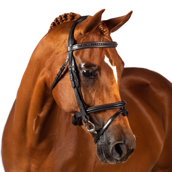 Straight Black Crystal  - Havana Browband